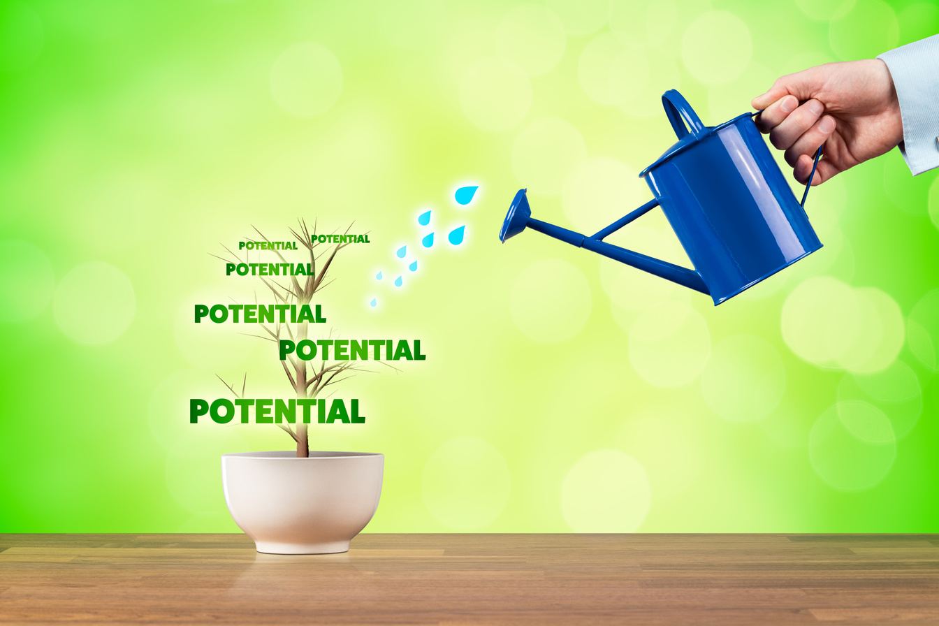 Business potential growth